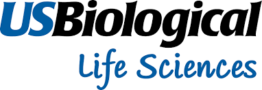 2mag AG logo